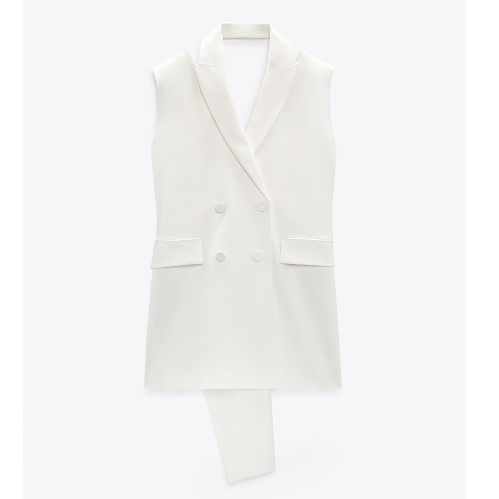 NWT Zara Limited Edition Bow Sleeveless Dress - Picture 8 of 16